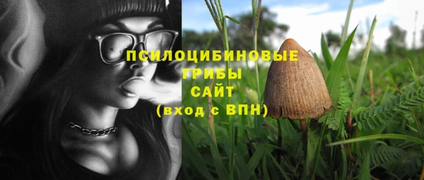 PSILOCYBIN Алексин