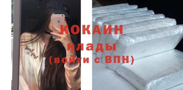 стафф Алзамай