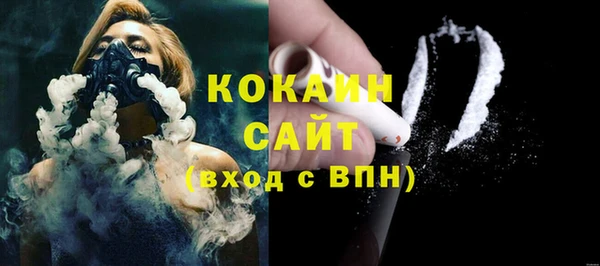 ПСИЛОЦИБИНОВЫЕ ГРИБЫ Абаза
