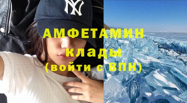 ПСИЛОЦИБИНОВЫЕ ГРИБЫ Абаза