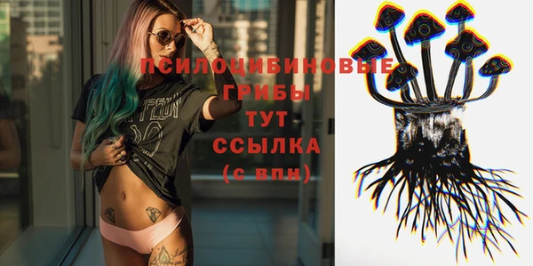 PSILOCYBIN Алексин