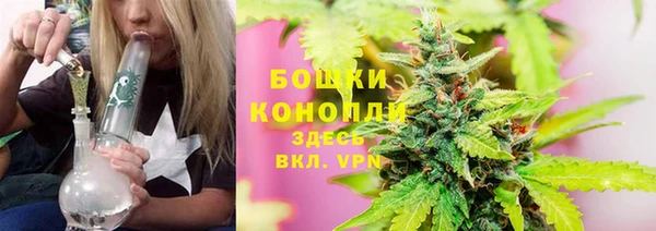 ПСИЛОЦИБИНОВЫЕ ГРИБЫ Абаза
