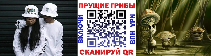 Галлюциногенные грибы прущие грибы  Сухиничи 
